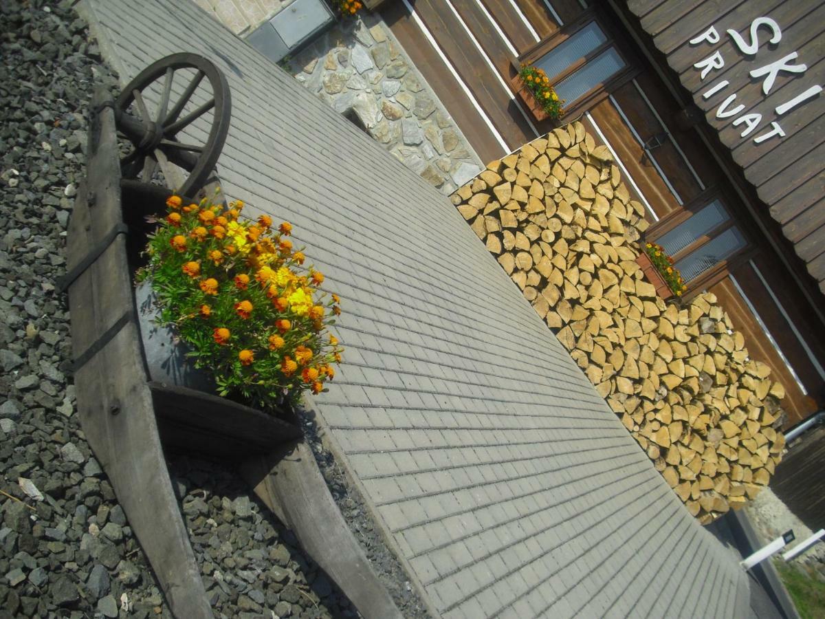 Privat Ski Erlebach Рокицани Экстерьер фото